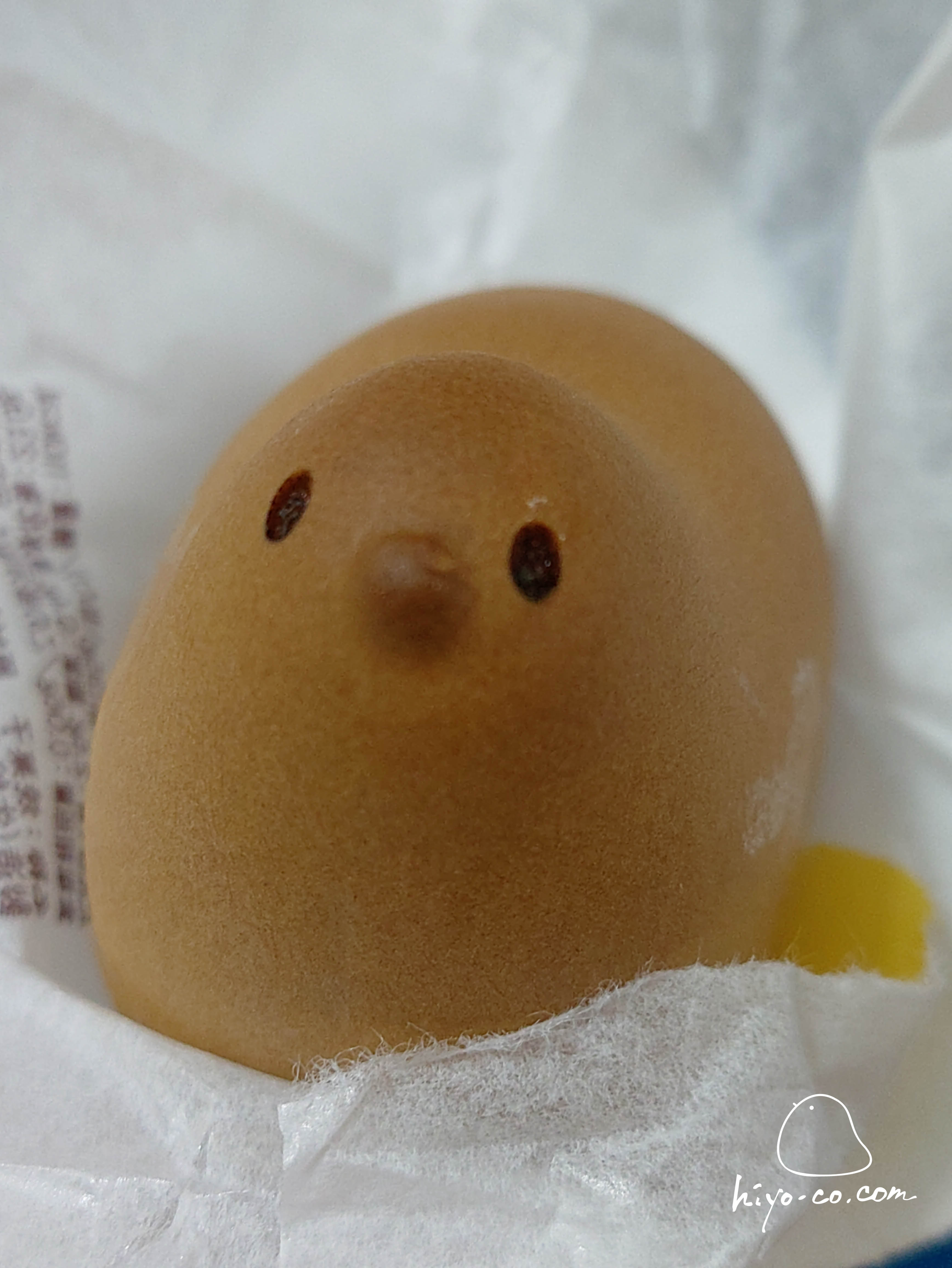 202510221537005-hiyoco.jpg
